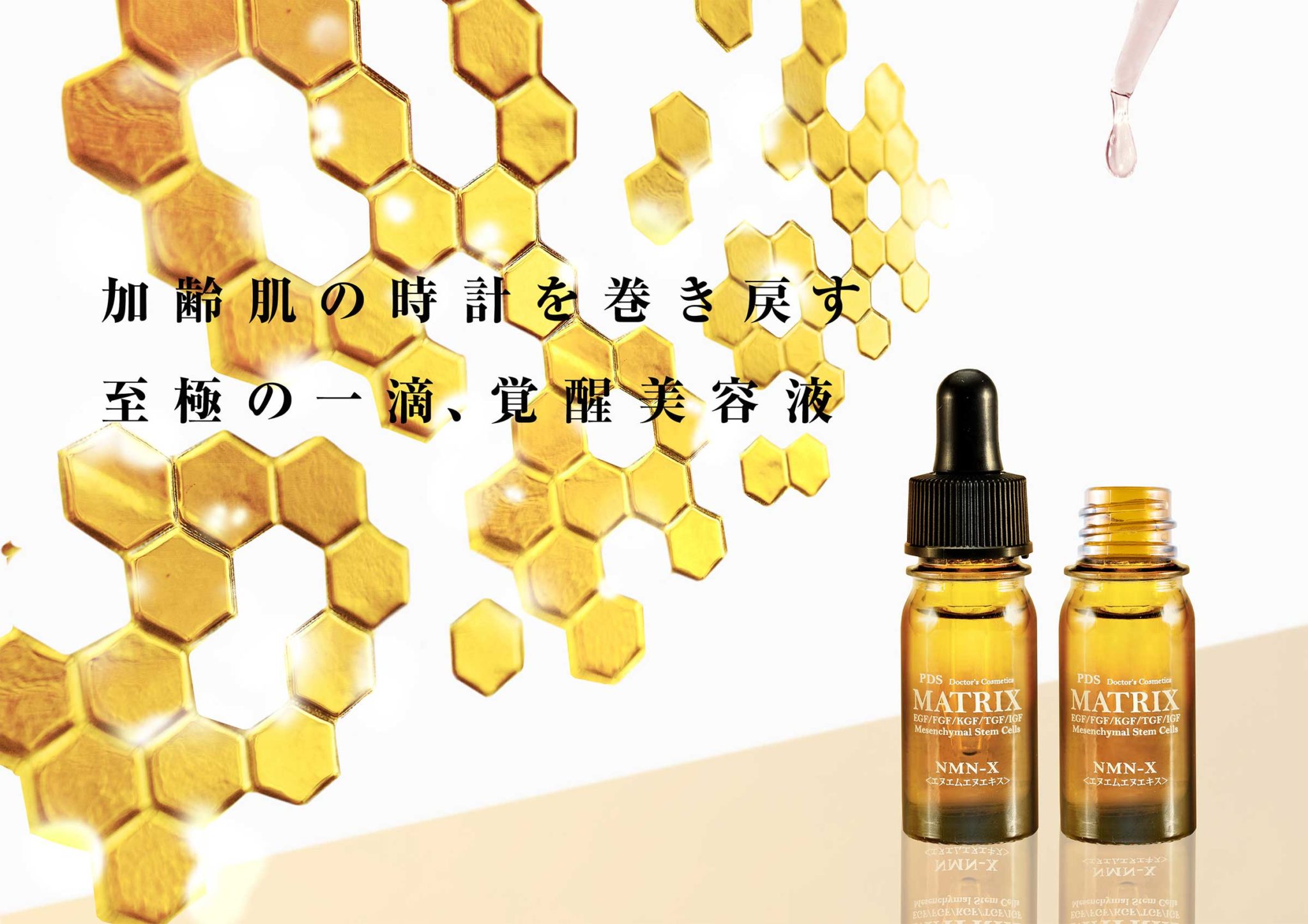 【Kayさん専用】PDS マトリックスエキス NMN-X 5ml 3個セット Kayさん専用】PDS マトリックスエキス NMN-X 5ml 3個セット Kayさん